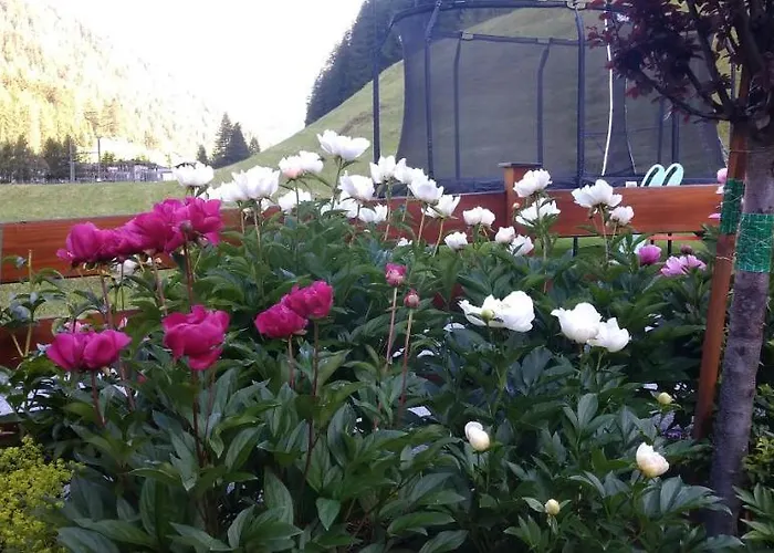 Fremdenpension Alpenruhe 3*