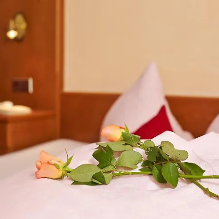 Fremdenpension Alpenruhe 게스트하우스 3*